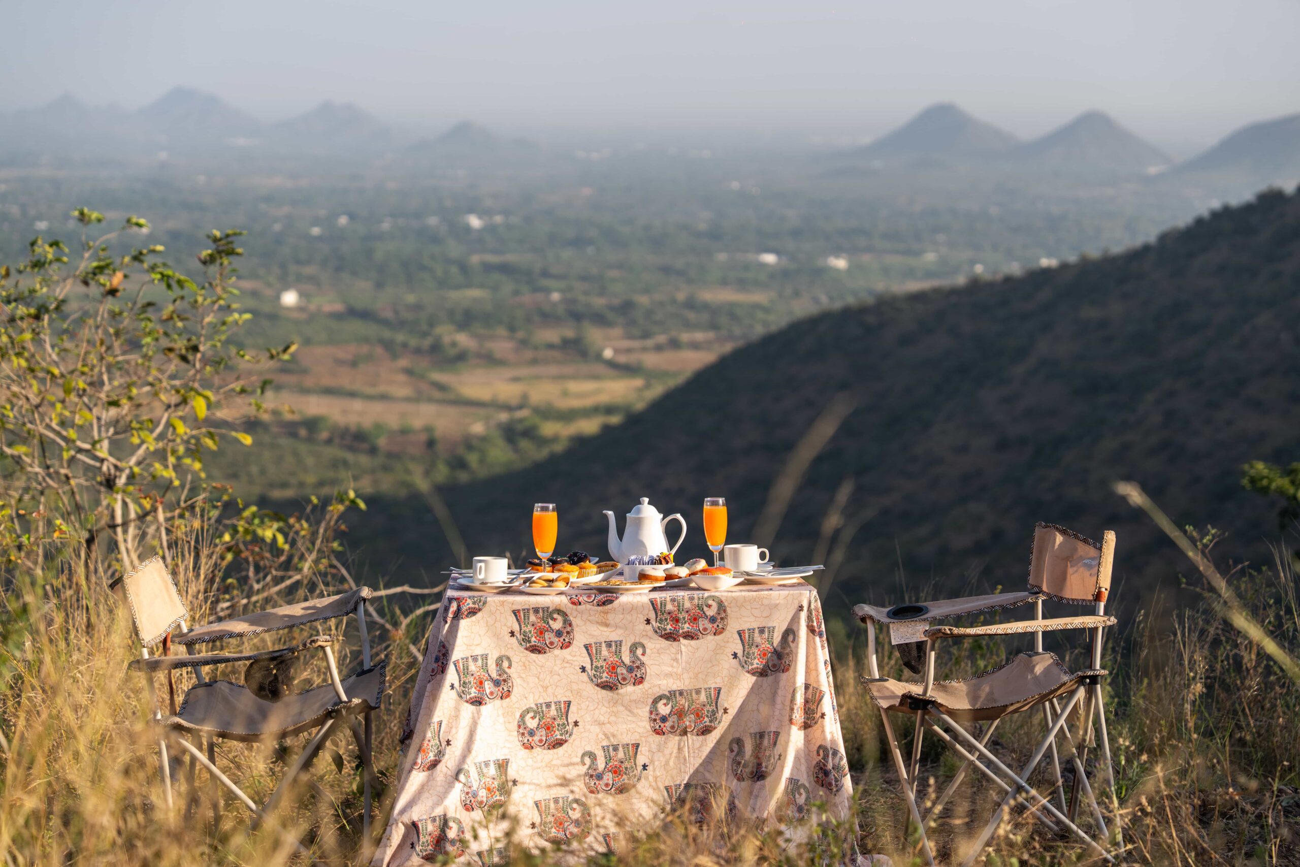 Anadam Resort Udaipur